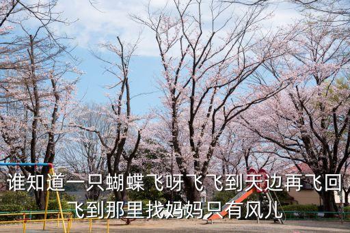 誰知道一只蝴蝶飛呀飛飛到天邊再飛回飛到那里找媽媽只有風(fēng)兒