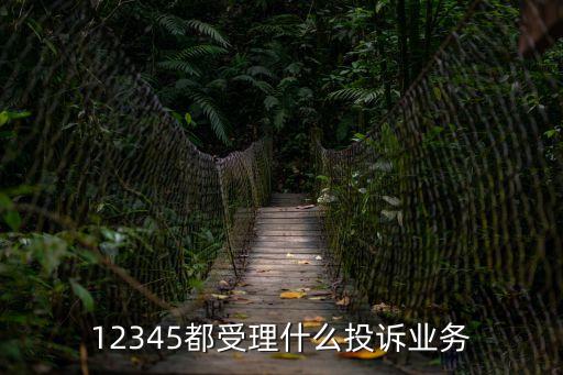 12345都受理什么投訴業(yè)務(wù)