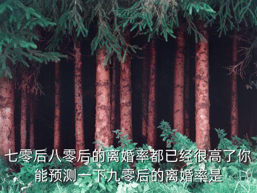 七零后八零后的離婚率都已經(jīng)很高了你能預(yù)測一下九零后的離婚率是