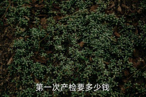 第一次產(chǎn)檢要多少錢