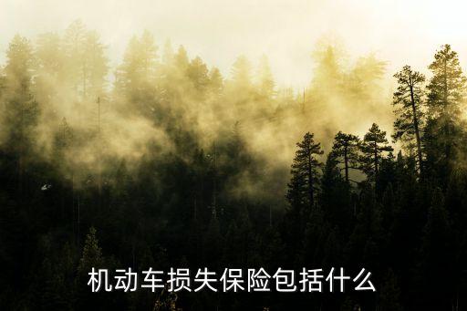 機(jī)動(dòng)車損失保險(xiǎn)包括什么