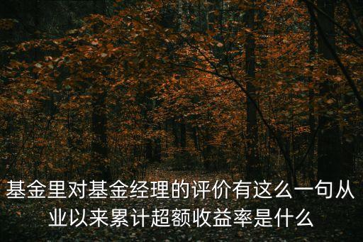 超額收益，基金里對基金經(jīng)理的評價有這么一句從業(yè)以來累計超額收益率是什么