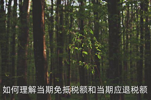 留抵退稅什么意思，當期免抵稅額是不是下月留抵稅額