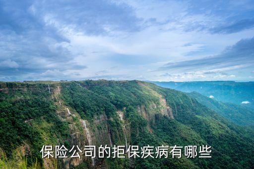 保險公司的拒保疾病有哪些