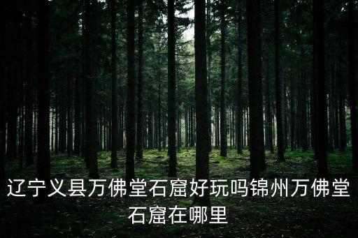 遼寧義縣萬(wàn)佛堂石窟好玩嗎錦州萬(wàn)佛堂石窟在哪里