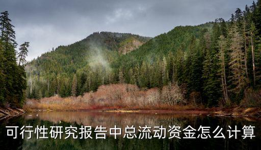 流動(dòng)資金估算表，流動(dòng)資金怎么估算