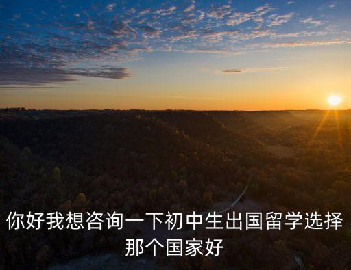 初中留學(xué)咨詢，我是有個(gè)初中生 想出國留學(xué) 求幫助 謝謝