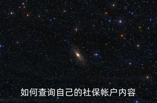 如何查詢自己的社保帳戶內(nèi)容