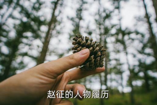 趙征，趙征的人物履歷