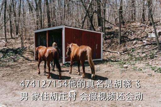 胡曉飛，474127154他的真名是胡曉飛 男 家住胡莊村 會(huì)假視頻還會(huì)動(dòng)