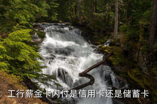 工行薪金卡閃付是信用卡還是儲蓄卡