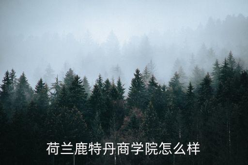 荷蘭鹿特丹商學(xué)院，荷蘭鹿特丹商學(xué)院怎么樣