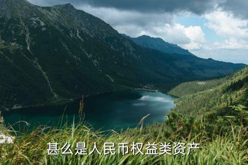 權(quán)益類資產(chǎn)，什么是權(quán)益性資產(chǎn)