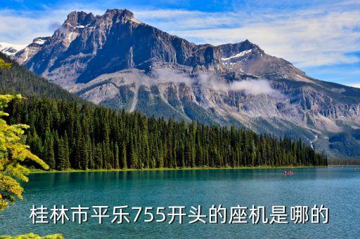 平樂熱線，平樂順豐快遞電話號碼是多少