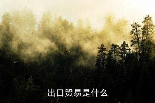 貿(mào)易出口，出口貿(mào)易是什么