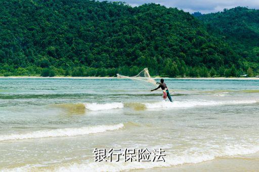 存款保險條例，中國的存款保險是銀行拿保費嗎 強制還是自愿的