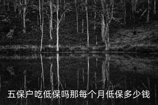 五保戶(hù)一個(gè)月多少錢(qián)，農(nóng)村五保每月多少錢(qián)