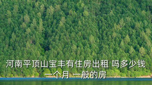 河南平頂山寶豐有住房出租 嗎多少錢一個月 一般的房