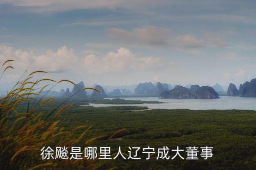 徐飚是哪里人遼寧成大董事