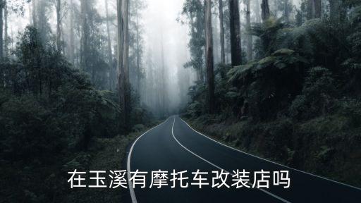 在玉溪有摩托車改裝店嗎