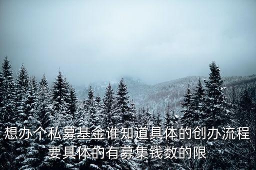 想辦個(gè)私募基金誰知道具體的創(chuàng)辦流程要具體的有募集錢數(shù)的限