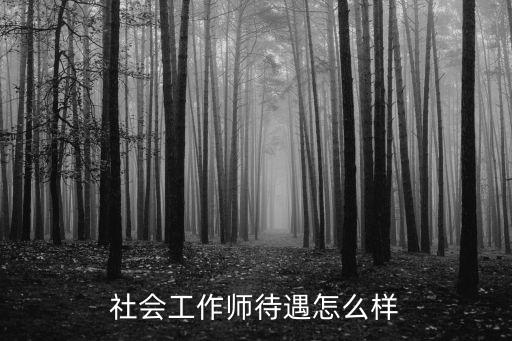 社會(huì)工作師待遇怎么樣