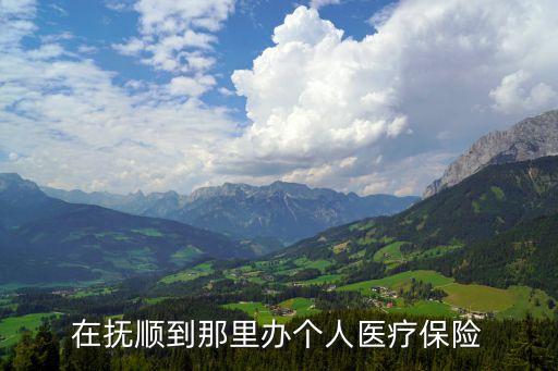 在撫順到那里辦個(gè)人醫(yī)療保險(xiǎn)