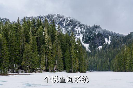 個稅查詢系統(tǒng)，個人所得稅查詢系統(tǒng)