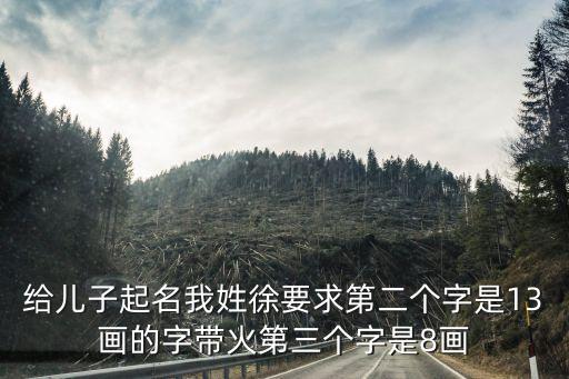 徐飚，給兒子起名我姓徐要求第二個字是13畫的字帶火第三個字是8畫