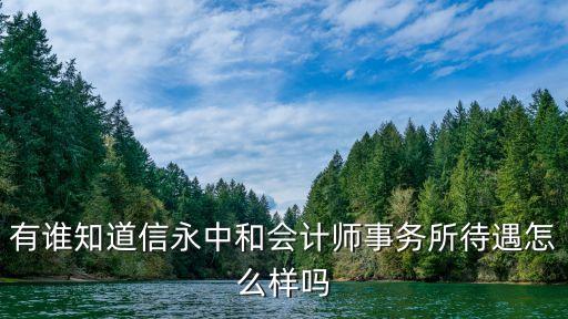 有誰知道信永中和會計(jì)師事務(wù)所待遇怎么樣嗎