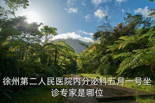 徐州第二人民醫(yī)院內(nèi)分泌科五月一號坐診專家是哪位