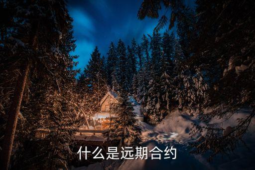 遠(yuǎn)期合約，簡述遠(yuǎn)期合約與期貨合約的不同之處