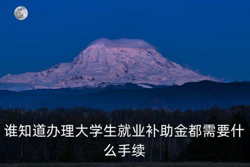 誰知道辦理大學(xué)生就業(yè)補(bǔ)助金都需要什么手續(xù)