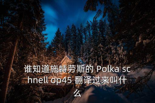 火車波爾卡，誰(shuí)知道施特勞斯的 Polka schnell op45 翻譯過(guò)來(lái)叫什么