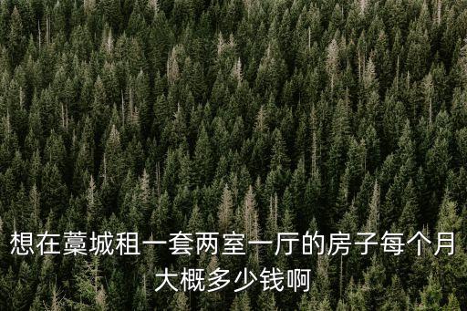 想在藁城租一套兩室一廳的房子每個(gè)月大概多少錢啊