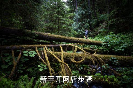 網(wǎng)上開店指南，新手開網(wǎng)店步驟