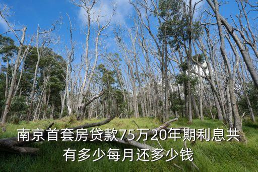 南京首套房貸款75萬20年期利息共有多少每月還多少錢