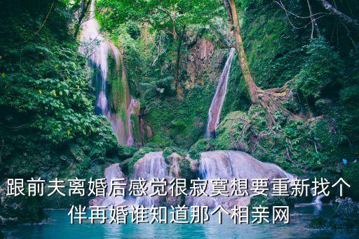 再婚網(wǎng)，跟前夫離婚后感覺很寂寞想要重新找個伴再婚誰知道那個相親網(wǎng)
