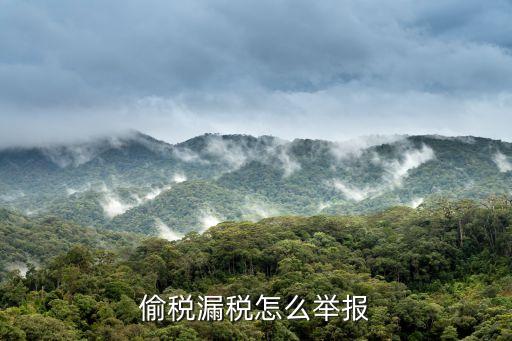偷稅漏稅怎么舉報，怎么舉報偷稅漏稅問題