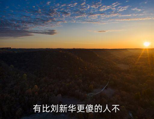 有比劉新華更傻的人不