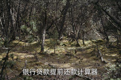 銀行貸款提前還款計(jì)算器