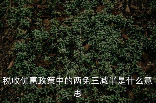 稅收優(yōu)惠政策中的兩免三減半是什么意思