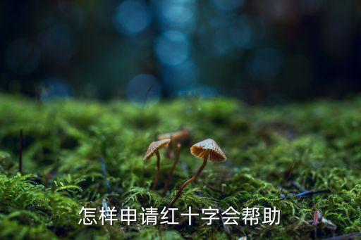 紅十字會(huì)怎么申請(qǐng)救助，怎么申請(qǐng)紅十字會(huì)救助