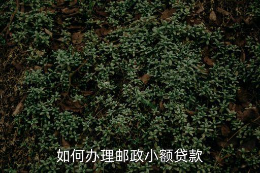 如何辦理郵政小額貸款
