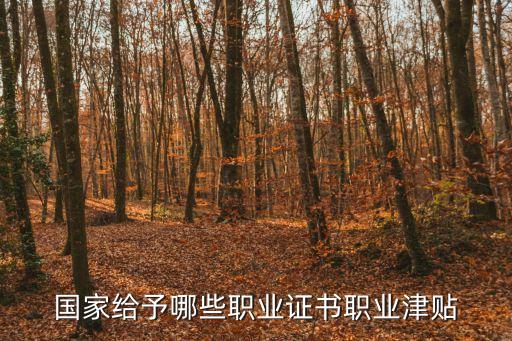 國家給予哪些職業(yè)證書職業(yè)津貼