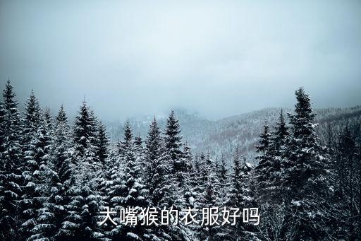 大嘴猴的衣服好嗎