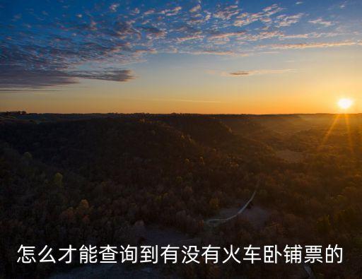 怎么才能查詢到有沒有火車臥鋪票的