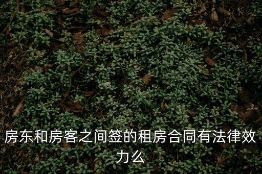 房東和房客之間簽的租房合同有法律效力么
