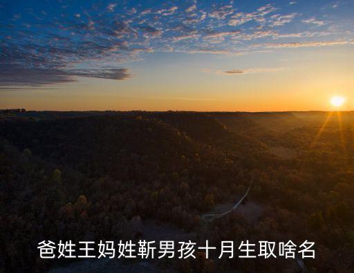 王革新，爸姓王媽姓靳男孩十月生取啥名