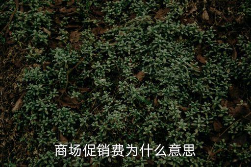 促銷費，商場促銷費為什么意思